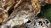 日本直送！广岛产带壳生蚝