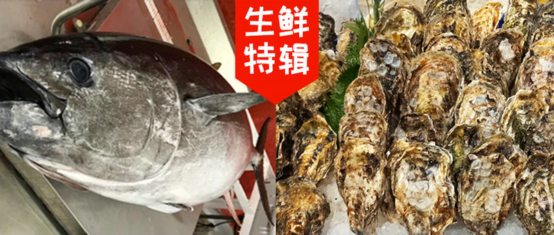 【生鲜特辑】大海的滋味 海の味