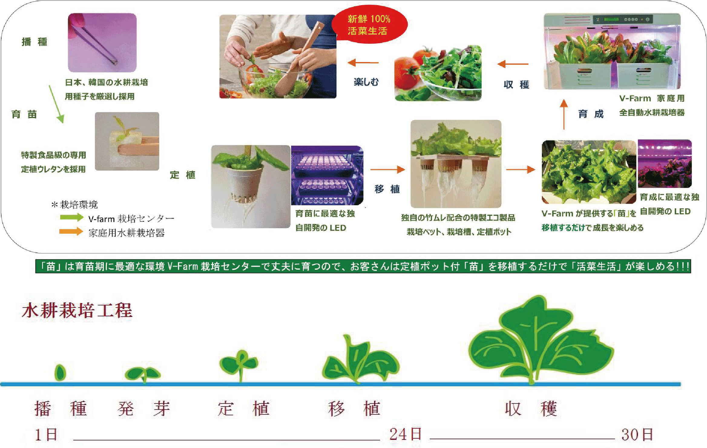 日本料理